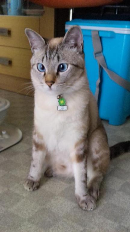 �ɤ�������