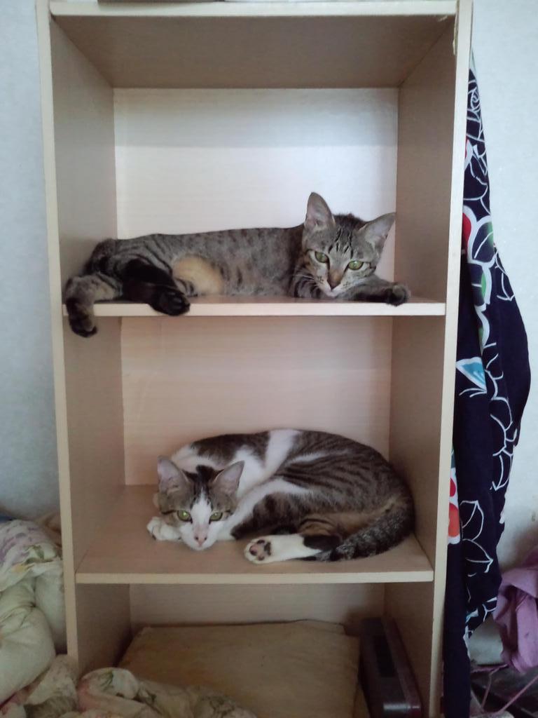 �̤��Ϥ��äƤޡ�����