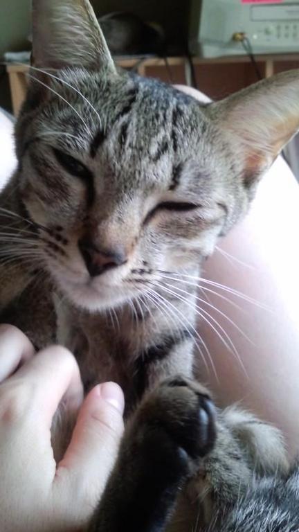 �ۤ�M��ͦ���ξڤ� �ۤ�M��ͦ���ξڤ�