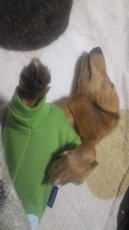 ����(��_��)