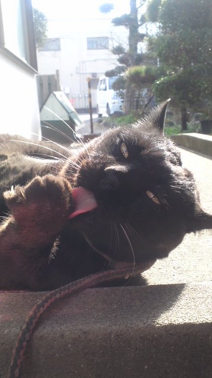 �ڥ���