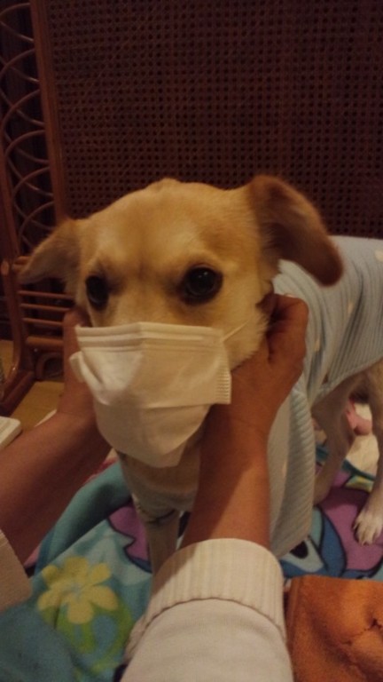 ����ե륨�󥶤ˤ��ѿ�