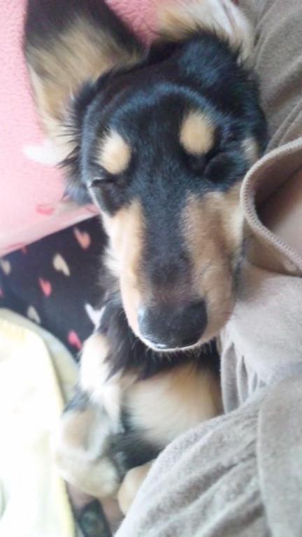 ͷ�����ƎώϤζ�����(-.-)zzZ