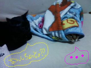 �ʤ󤷤���äȤ���^o^
