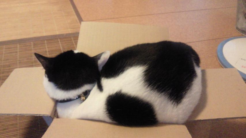 �����������̵������ �����������̵������
