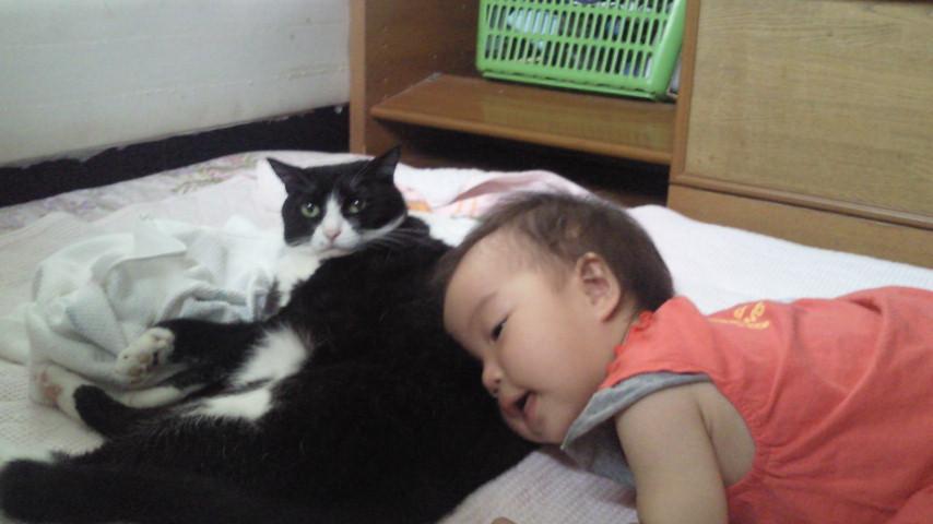 ������ʤ��褩��
