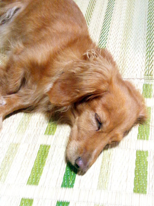 ���䥹�䡦����
