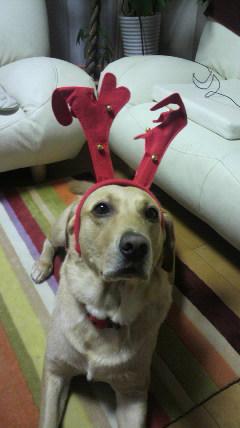 ��ǯ�Υץ쥼��Ȥϲ��Ǥ�����p(^-^)q