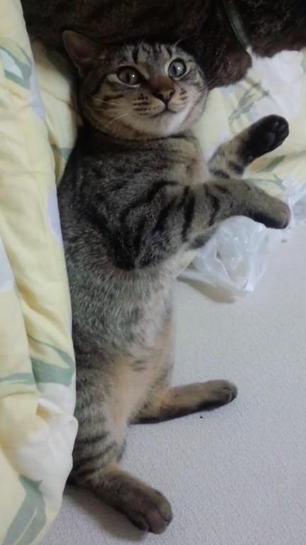 Ω�ä���