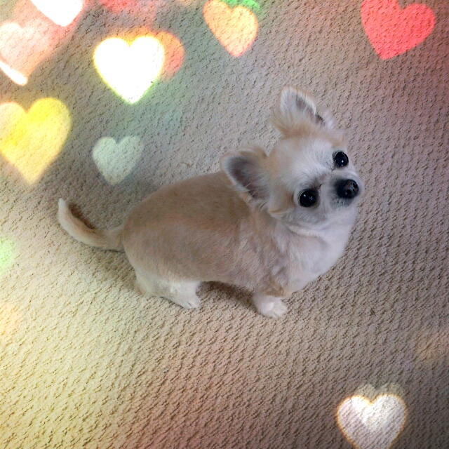 ���å��ꡪ