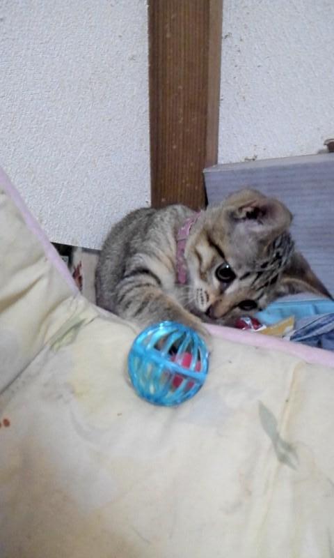 �ܡ���ͷ��