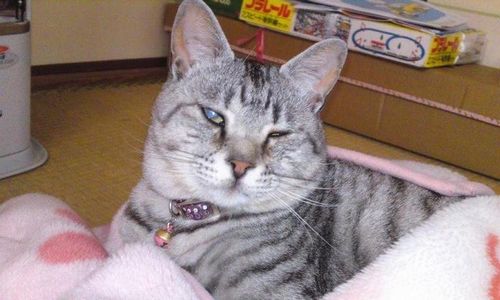 ̲����̲�᤮���
