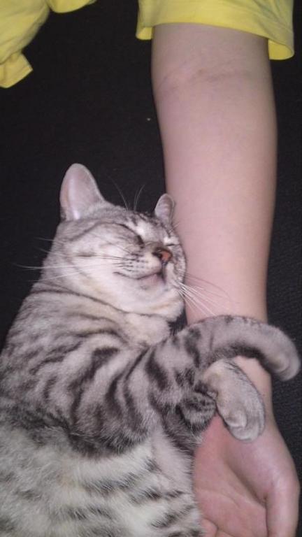 �ڥå����(^��^)-��!!