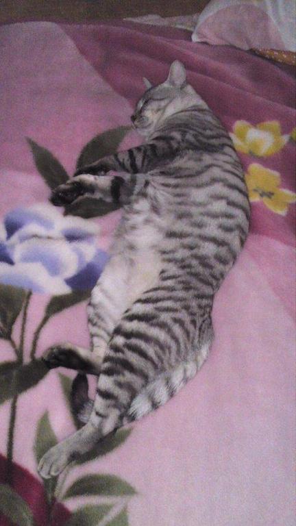 �ӥ���!!!