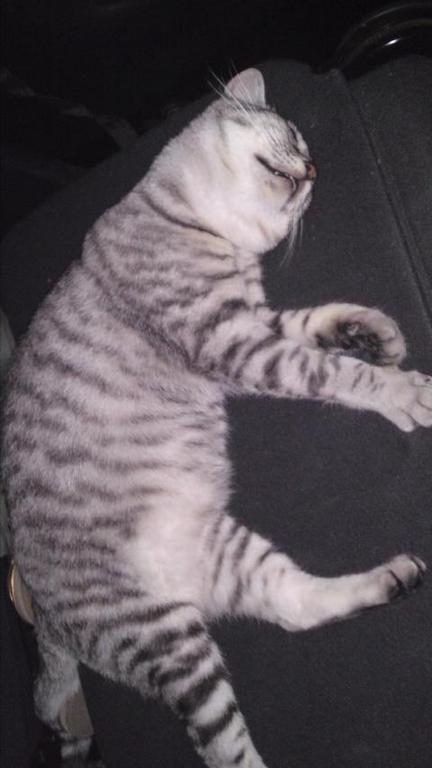 �Ͽ��(-.-)zzZ