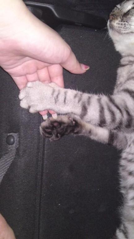�ʤ����������