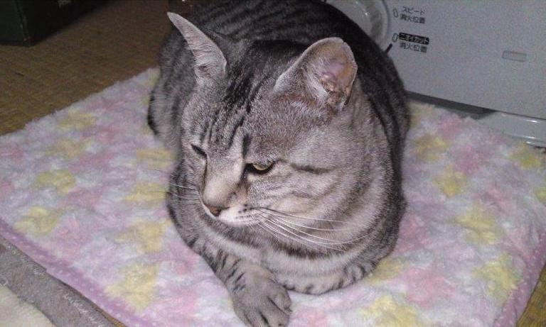 ���ޤä����