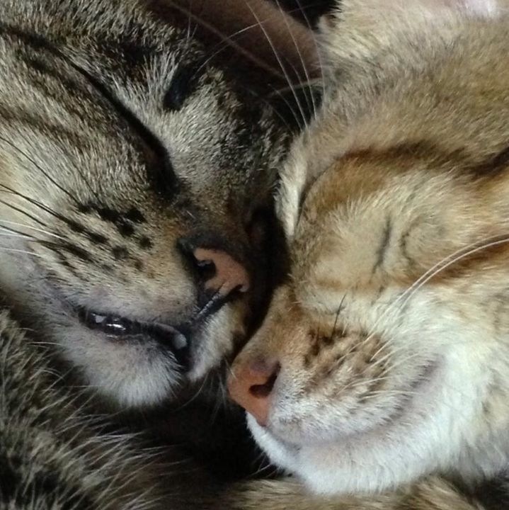 ���ɤ�