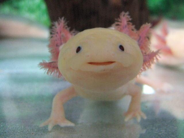 �Ͳ��ä����椬�ȤΥ����ɥ�