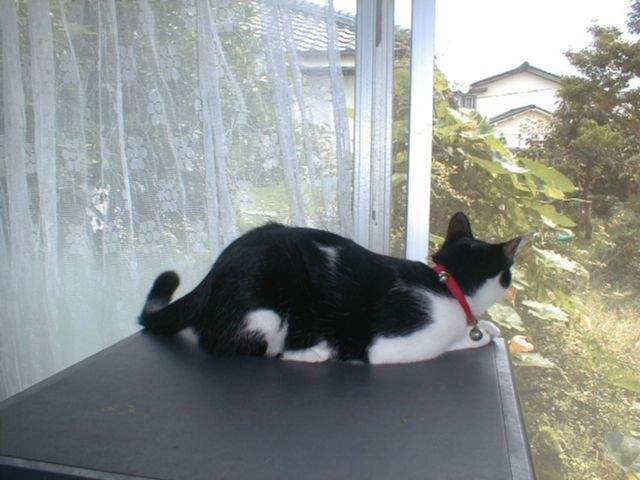 ů���桩