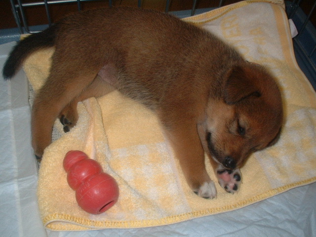 ���䤹�ߥ⡼��