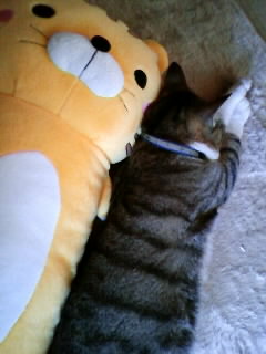 ź����