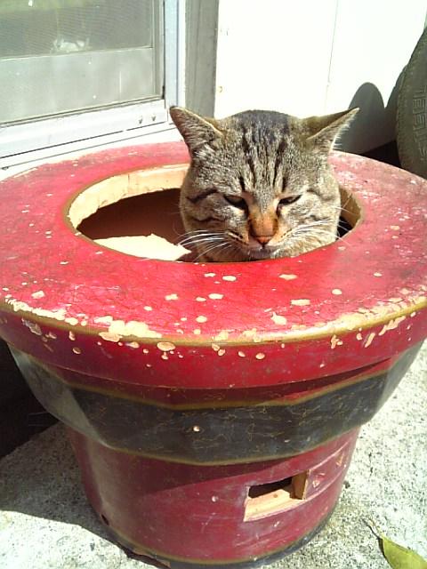�Ͽ̤θ塢���񡩤���