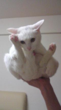 �ڡ�