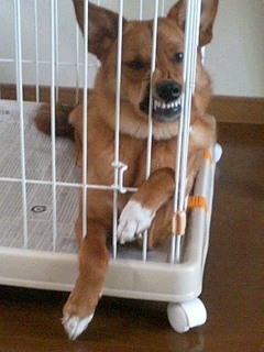 ����뤥������