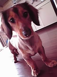 �ʤˤʤ�??