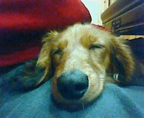 �Ҥ��ޤ���