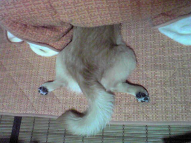 Ƭ�����ƿ�������(-.-;) Ƭ�����ƿ�������(-.-;)