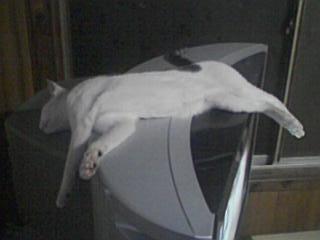 ���䤹��