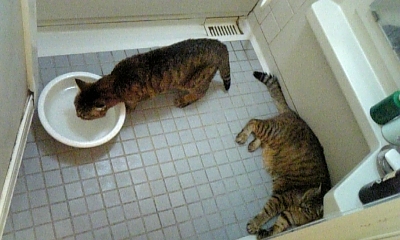 ����Ϥ��ǹ⡪��