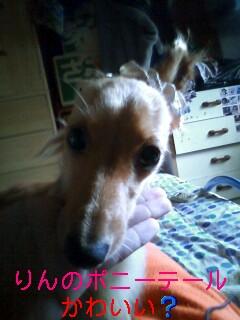 ���Υݥˡ��ơ���