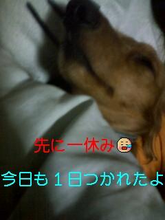 ���襤������