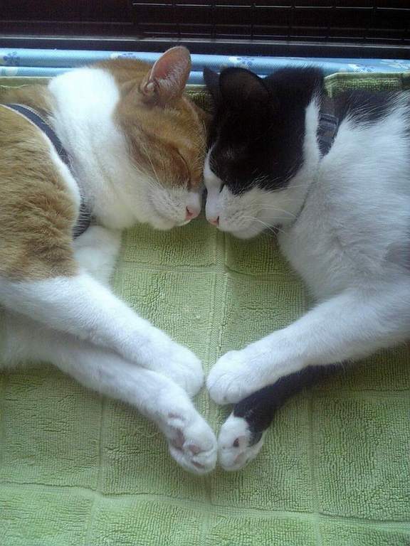 ��ɤ�Ǻ�ä��ϡ���♡