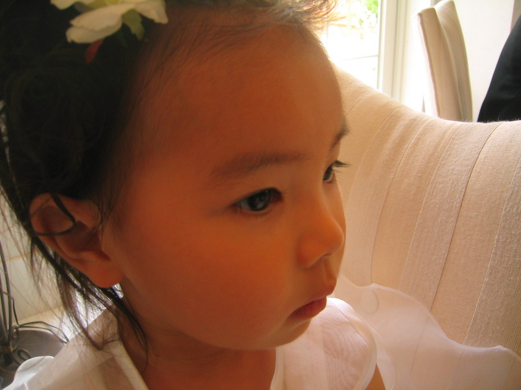 �뺧���ǲ�«£����