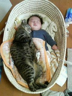 �줷���ġ�