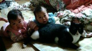 3�ͷ���