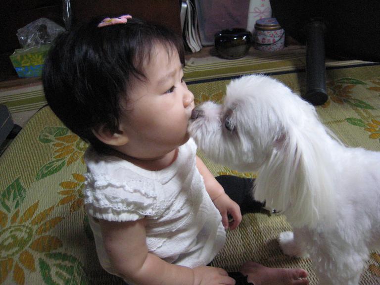 �ե�������kiss��