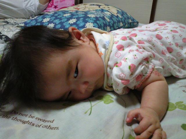 �����Ƥ���(*����`*)=3 �����Ƥ���(*����`*)=3