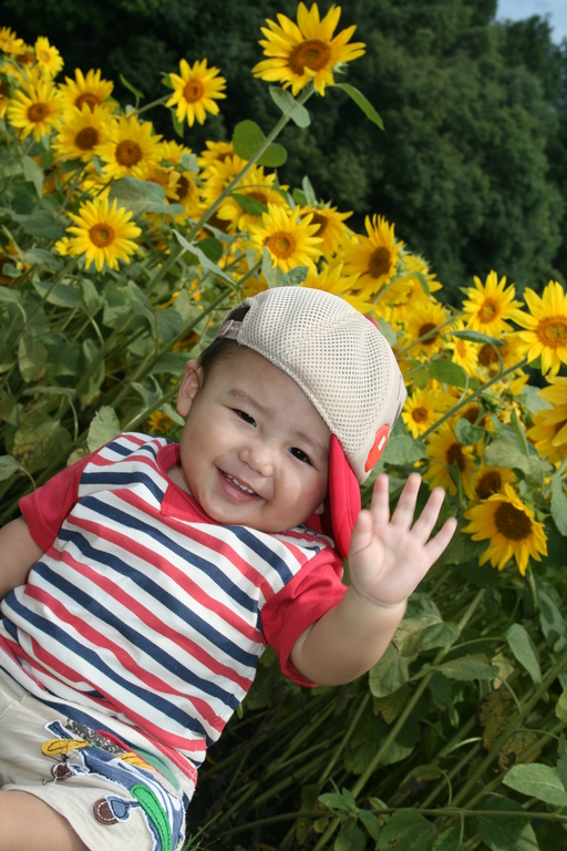 �Ҥޤ��Ȥܤ��� �Ҥޤ��Ȥܤ���
