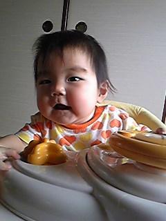 �����֤Ρ������������ �����֤Ρ������������