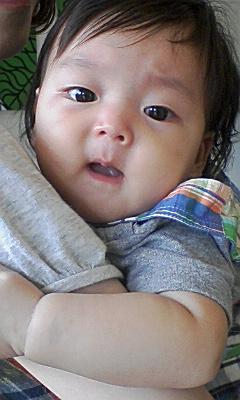 �ޥޤ˥���â� �ޥޤ˥���â�
