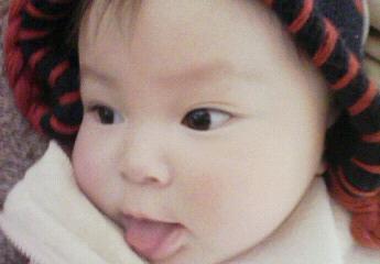 ���졩ï�˥٥������� ���졩ï�˥٥�������