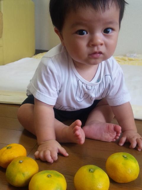 �ɤ�ˤ��褦���ʡ� �ɤ�ˤ��褦���ʡ�