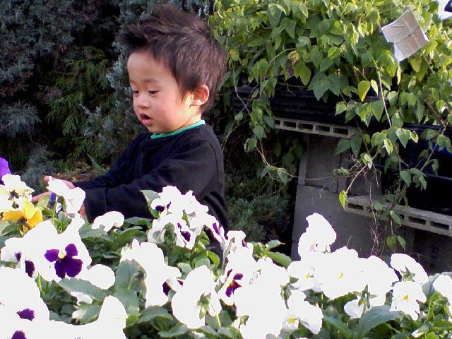�ɤ�ˤ��褦���ʤ��� �ɤ�ˤ��褦���ʤ���