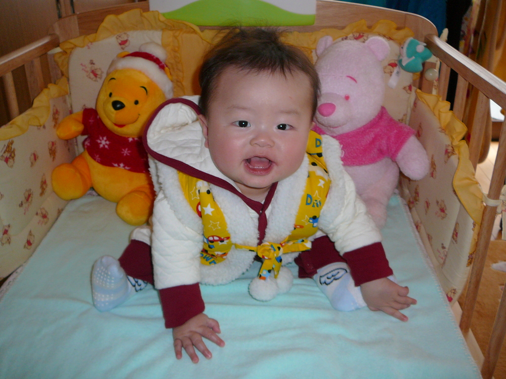 ���¤꤬�Ǥ����衼�� ���¤꤬�Ǥ����衼��