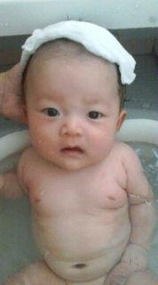 �ɤ�����ʤ�